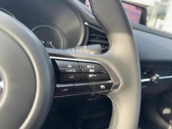 MAZDA CX-30 HOMURA (14/15)