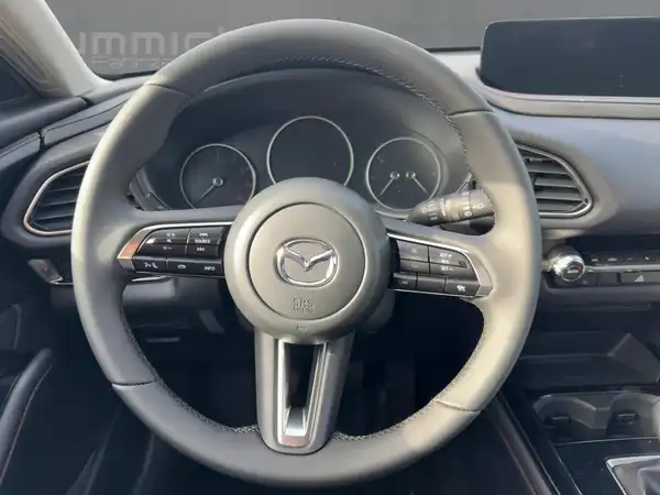 MAZDA CX-30 HOMURA (9/15)