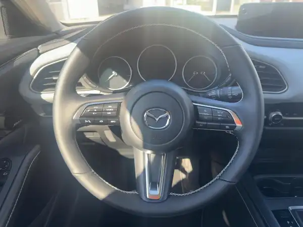 MAZDA CX-30 (9/15)