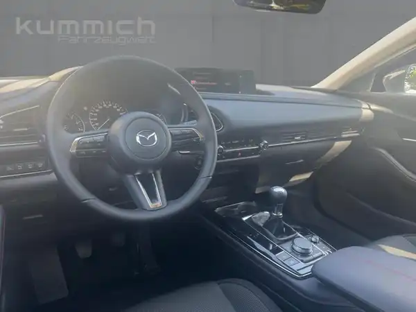 MAZDA CX-30 HOMURA (8/15)