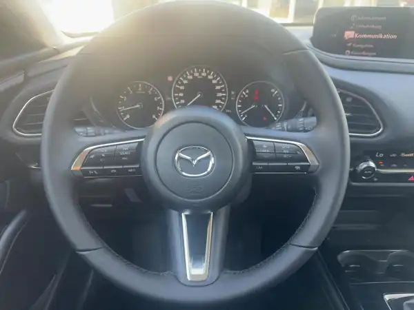 MAZDA CX-30 HOMURA (9/15)