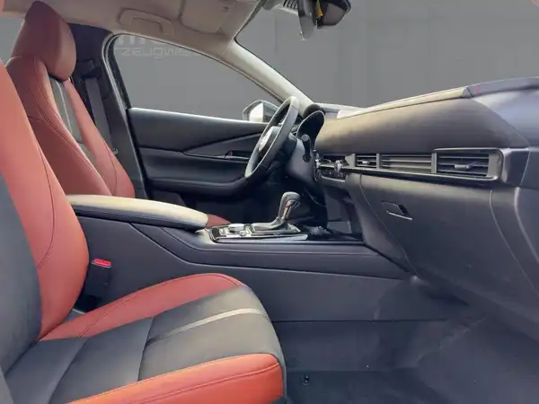 MAZDA CX-30 NAGISA (11/15)