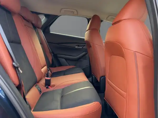 MAZDA CX-30 NAGISA (12/15)