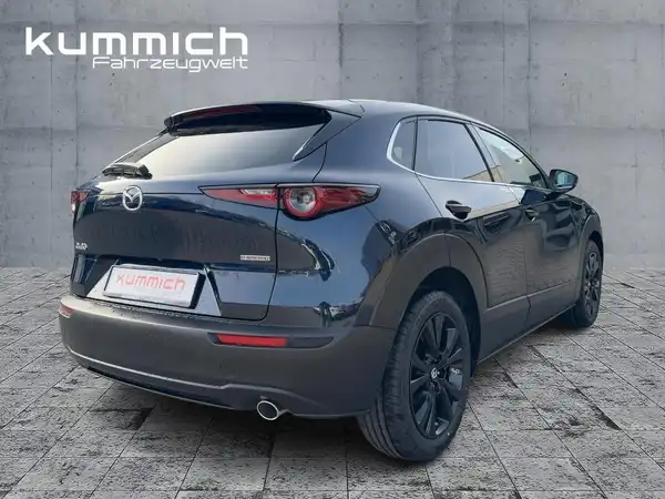 MAZDA CX-30 NAGISA (4/15)