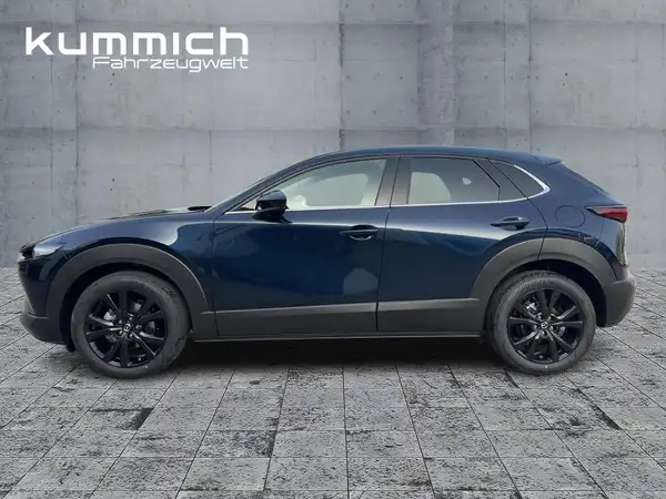 MAZDA CX-30 NAGISA (6/15)