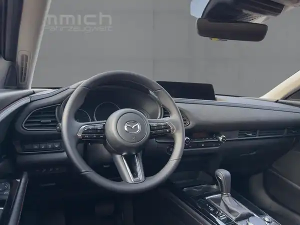 MAZDA CX-30 NAGISA (8/15)