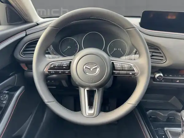 MAZDA CX-30 NAGISA (9/15)