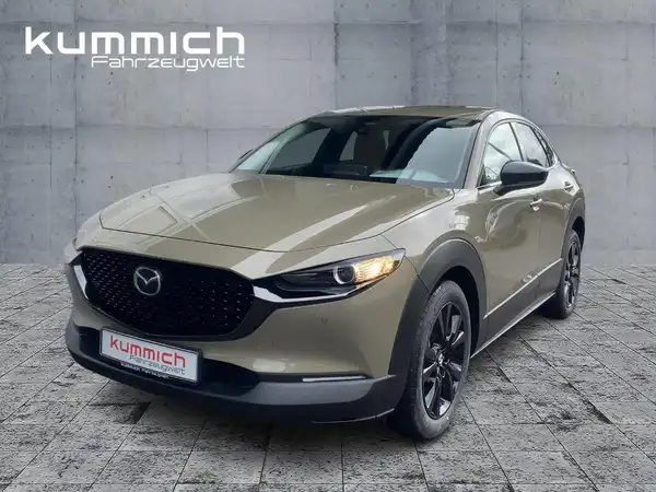 MAZDA CX-30 NAGISA (1/15)