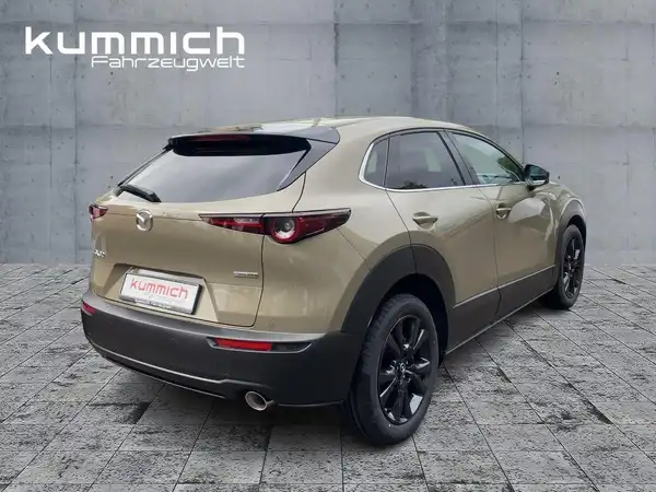 MAZDA CX-30 NAGISA (4/15)