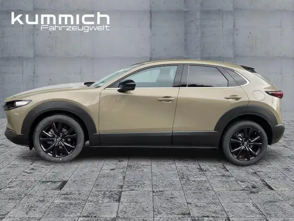 MAZDA CX-30 NAGISA (6/15)