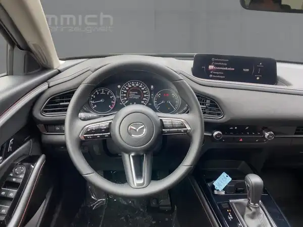 MAZDA CX-30 NAGISA (9/15)
