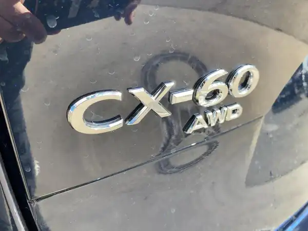 MAZDA CX-60 HOMURA (14/15)