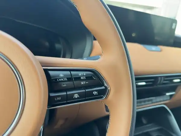 MAZDA CX-60 HOMURA (14/15)