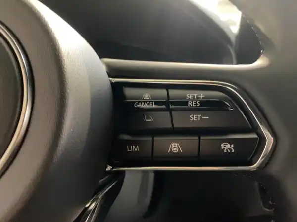 MAZDA CX-60 HOMURA (10/15)