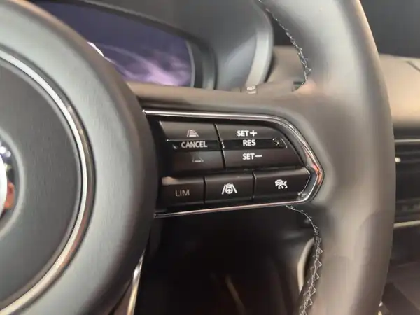 MAZDA CX-60 HOMURA (14/15)