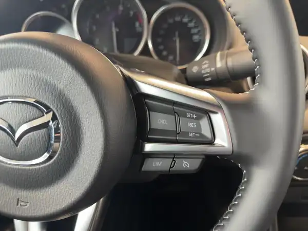 MAZDA MX-5 HOMURA (13/15)