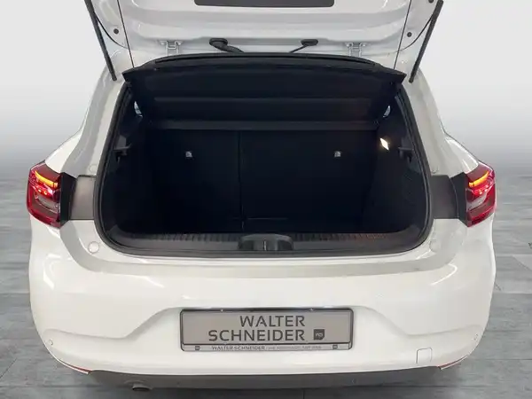 RENAULT CLIO (13/17)