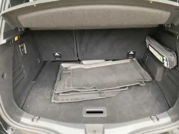 RENAULT SCENIC (13/15)