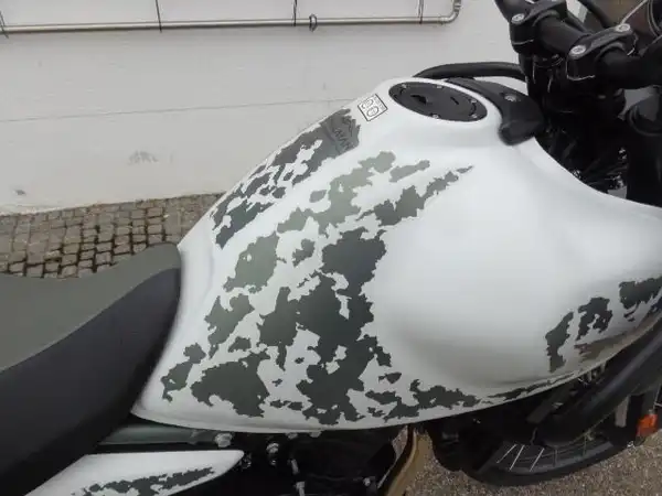 ROYAL ENFIELD HIMALAYAN 450 (7/8)