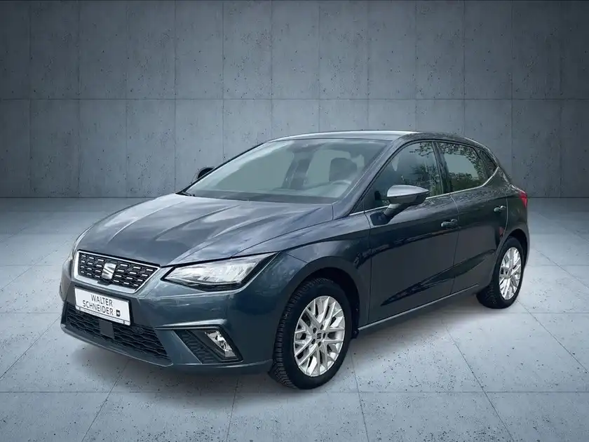 Das Bild zeigt einen grauen SEAT IBIZA von der Seite in einer stilisierten Umgebung.