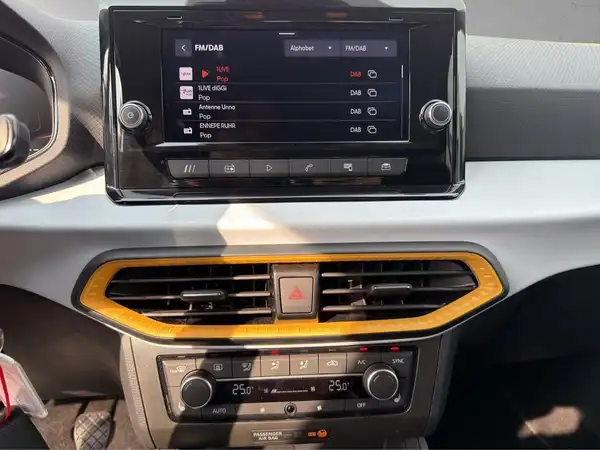 SEAT IBIZA (15/17)