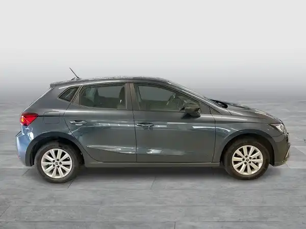 Das Bild zeigt einen grauen SEAT IBIZA von der Seite.