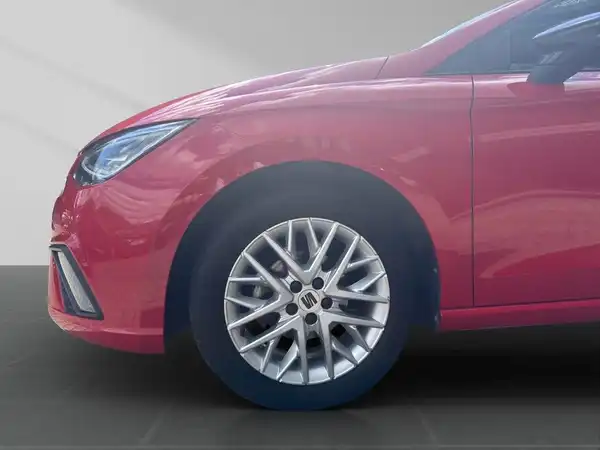 Das Bild zeigt ein rotes Fahrzeug (SEAT IBIZA) von der Seite.