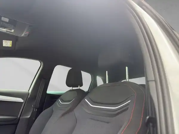 SEAT IBIZA (17/19)