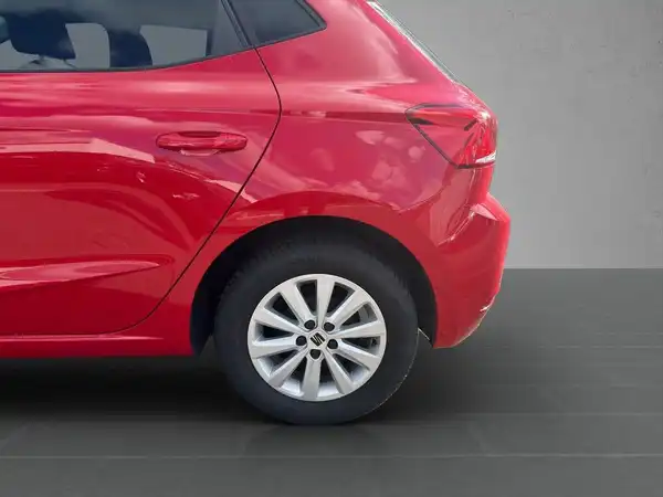 Das Bild zeigt einen roten SEAT IBIZA von der Seite.