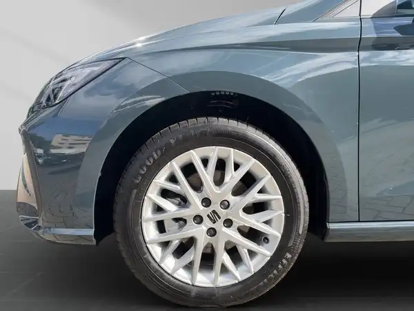 Seitliche Aufnahme eines grauen SEAT IBIZA.