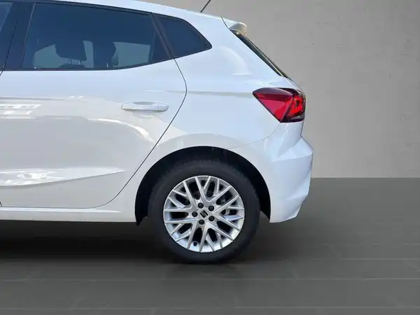 Das Bild zeigt einen weißen SEAT IBIZA von der Seite.