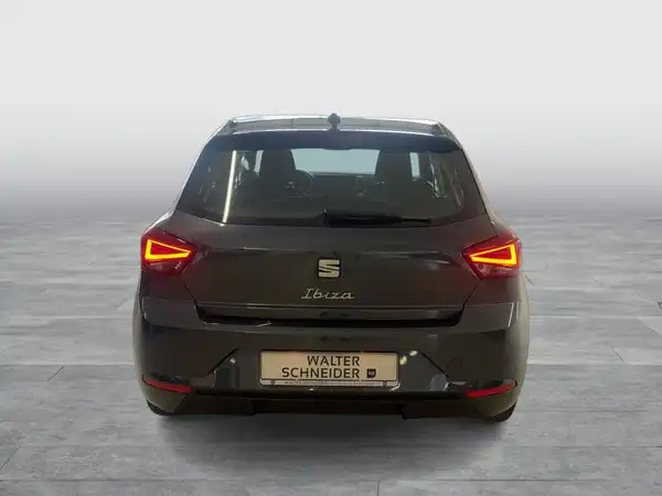SEAT IBIZA (4/18)