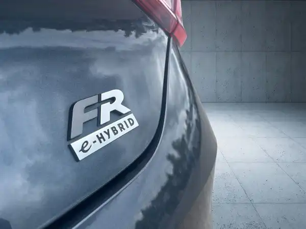 SEAT LEON (14/21)