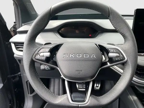 ŠKODA ENYAQ iV (11/16)