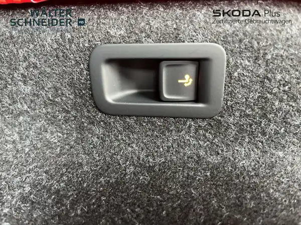 ŠKODA ENYAQ iV (13/18)