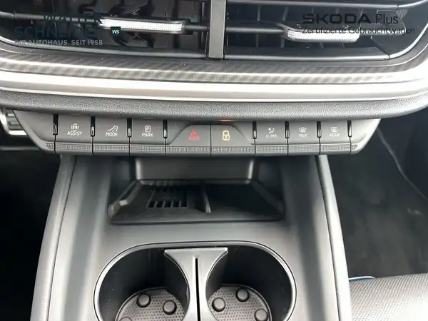 ŠKODA ENYAQ iV (18/18)