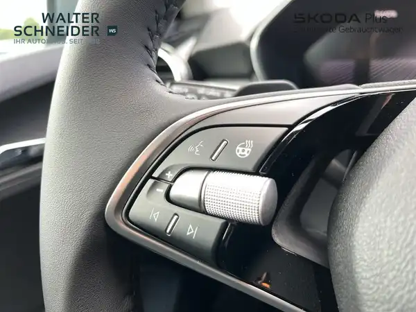 ŠKODA FABIA (14/20)