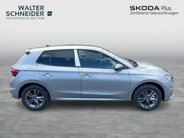ŠKODA FABIA (6/20)