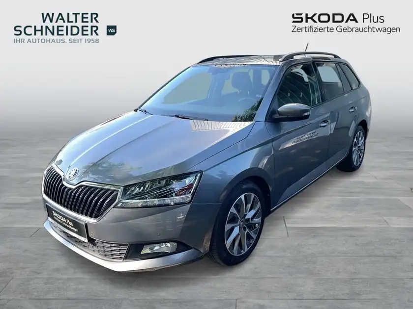 Das Bild zeigt einen grauen ŠKODA FABIA von vorne. Es enthält das Händlerlogo 'Walter Schneider' und Aufschrift 'SKODA Plus Zertifizierte Gebrauchtwagen'.