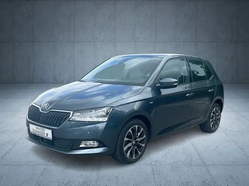 Das Bild zeigt einen ŠKODA FABIA von der Seite, in grauer Farbe, auf einem neutralen Hintergrund.
