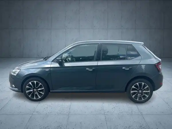 ŠKODA FABIA (2/19)