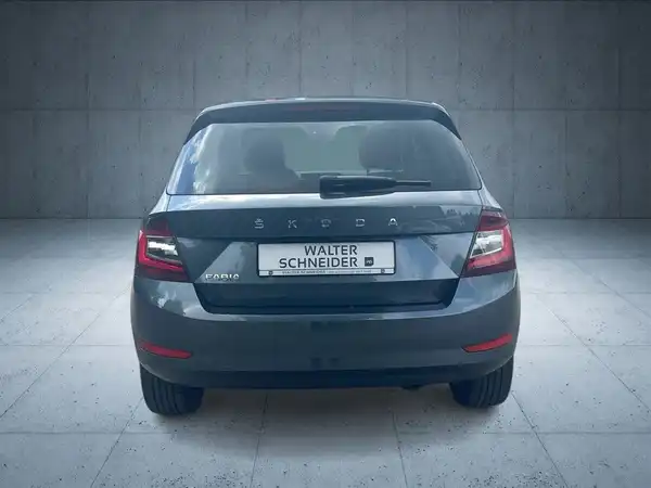ŠKODA FABIA (4/19)