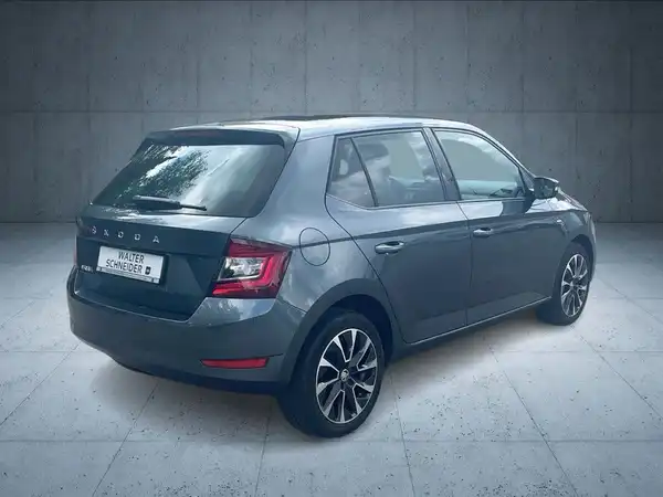 ŠKODA FABIA (5/19)