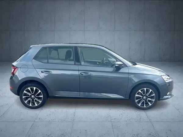 ŠKODA FABIA (6/19)