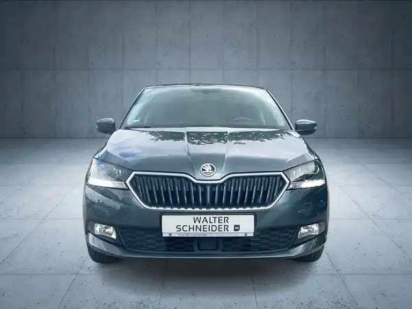 ŠKODA FABIA (8/19)