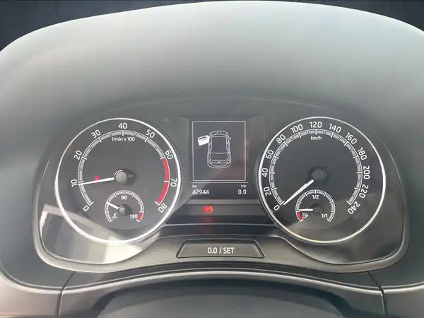 ŠKODA FABIA (10/19)