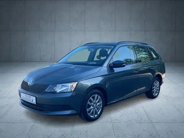 Das Bild zeigt einen schwarzen ŠKODA FABIA von der Seite.