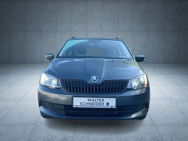 ŠKODA FABIA (8/17)