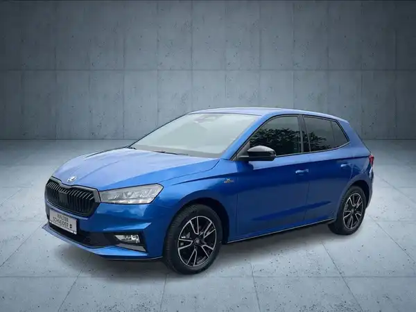 ŠKODA FABIA (1/21)