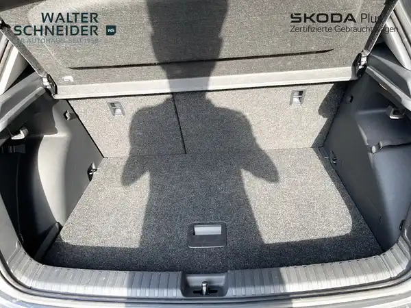 ŠKODA FABIA (11/21)